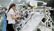 Công ty Thỉ Kỳ Đài Loan tuyển lao động nam nữ sản xuất dây điện Ô tô
